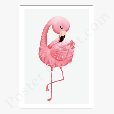 Affiche : Flamand rose